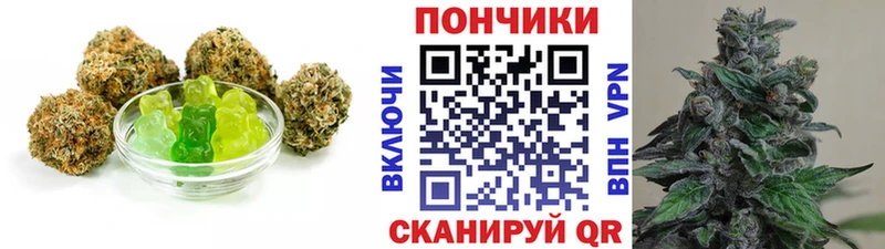 Купить закладки  Чегем  Печенье с ТГК марихуана 