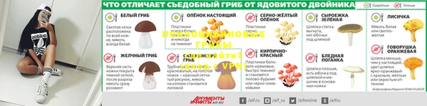 apvp Михайлов