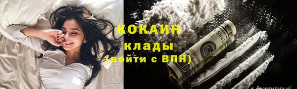 apvp Михайлов