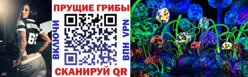 Галлюциногенные грибы Cubensis  Купить где  Чегем 