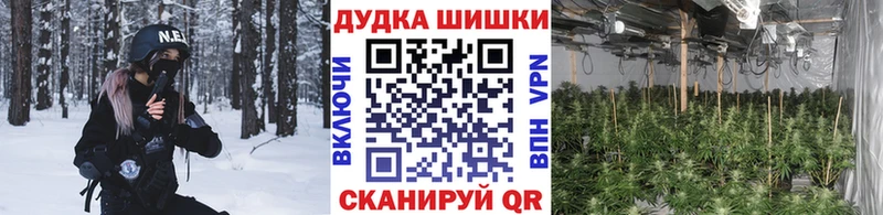 Купить закладки  Чегем  Марихуана семена 